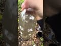 Tour of the wilderness base part 1