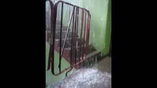 MVI 0860 AVI News
