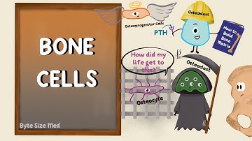 Bone Cells | Bone Physiology | Bone Remodelling | Structure of Bone | Human Histology