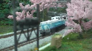 Nゲージ 桜並木を行くアイランドエクスプレス四国 鉄道模型 - YouTube