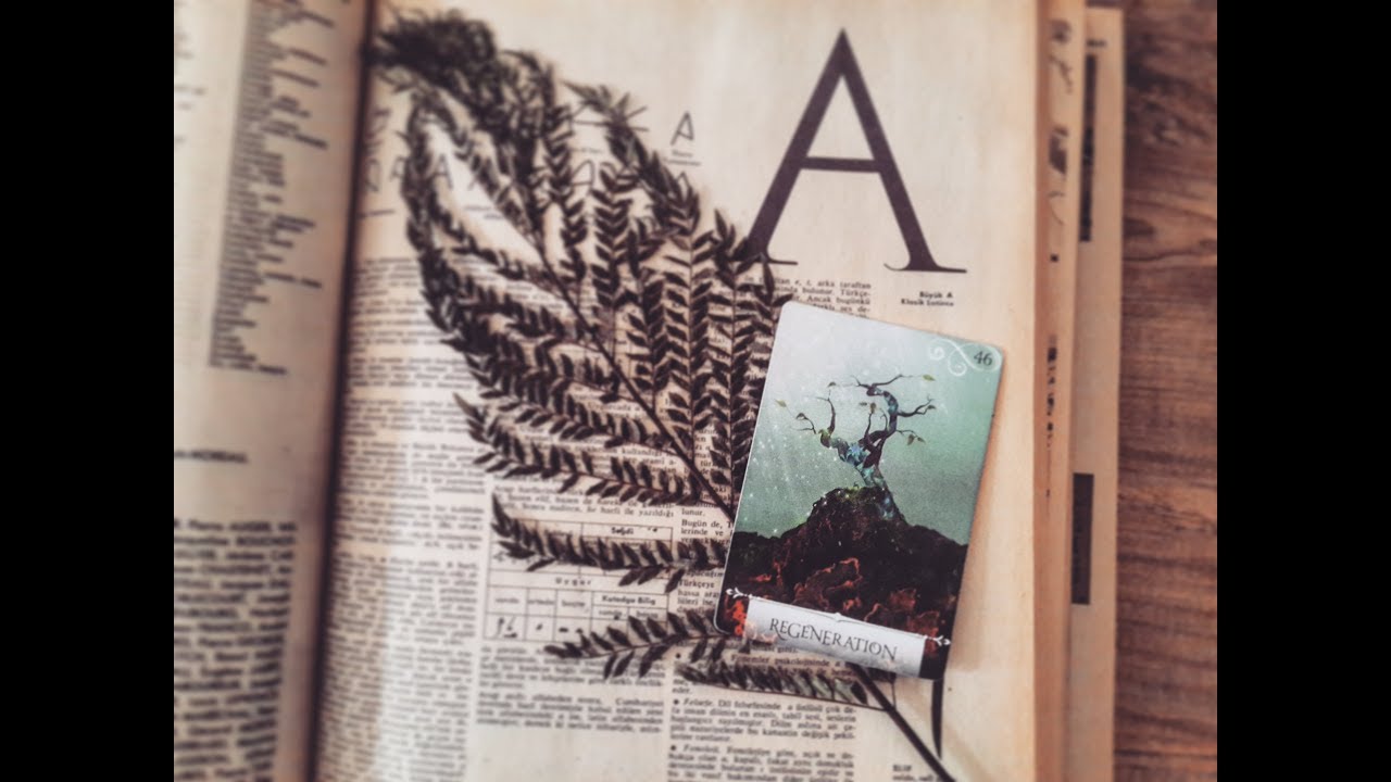 Bir deste seç 🌿 Sana iletilen mesaj ne?