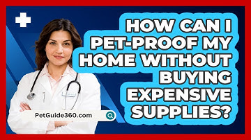How Can I Pet-proof My Home Without Buying Expensive Supplies? - PetGuide360.com
