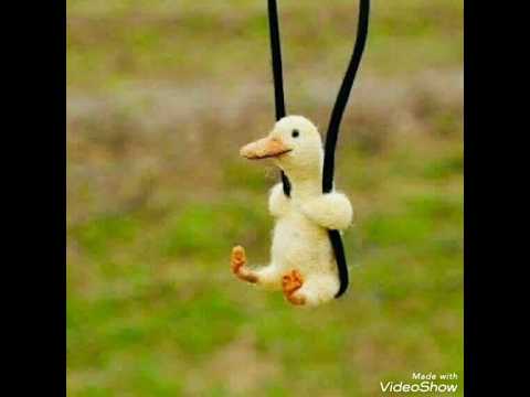 معلومات عن مناطق تكون السمنه والدهون في الجسم اسباب تكوين السمنه أو الدهون في منطقه معينه 