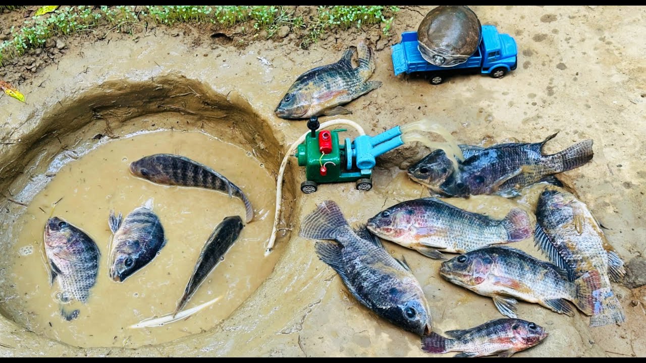 catch fish using mini water pump | fishing exciting | diy tractor |@Mini Fish Creator