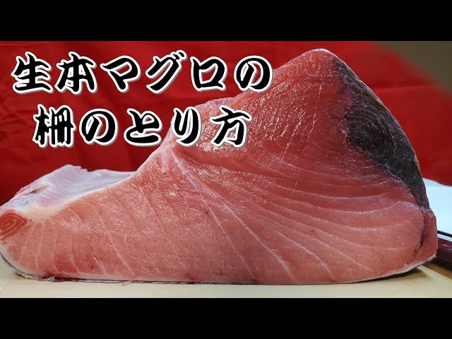 生本マグロ】鮪の柵取りの仕込み方 豊洲市場より How to fillet tuna
