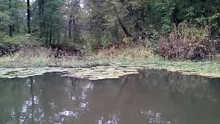 Old Sabine bottoms wma