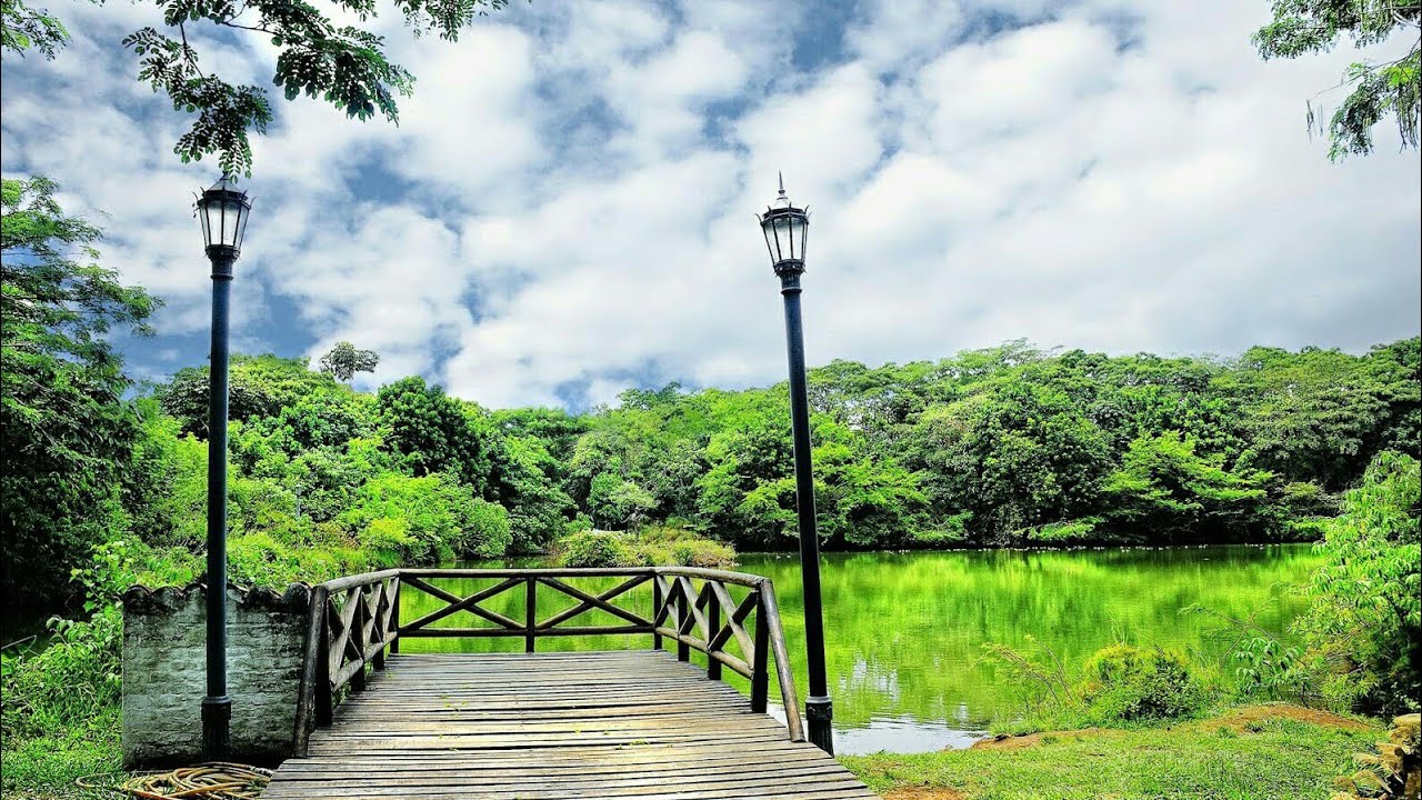 How to download CB. PNG LOGO BACKGROUNDS