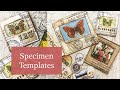 How to make Specimen TEMPLATES | JJ#209