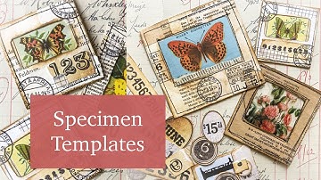 How to make Specimen TEMPLATES | JJ#209