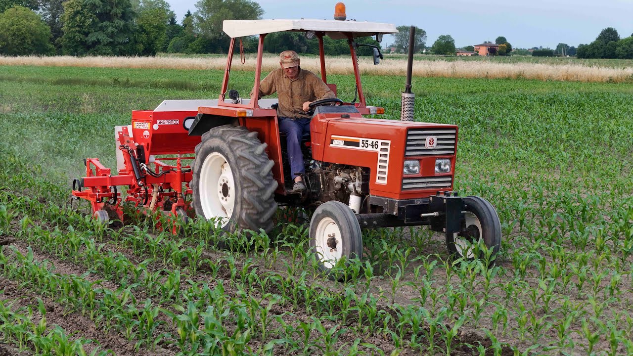 Seconda sarchiatura mais e problemi Fiatagri