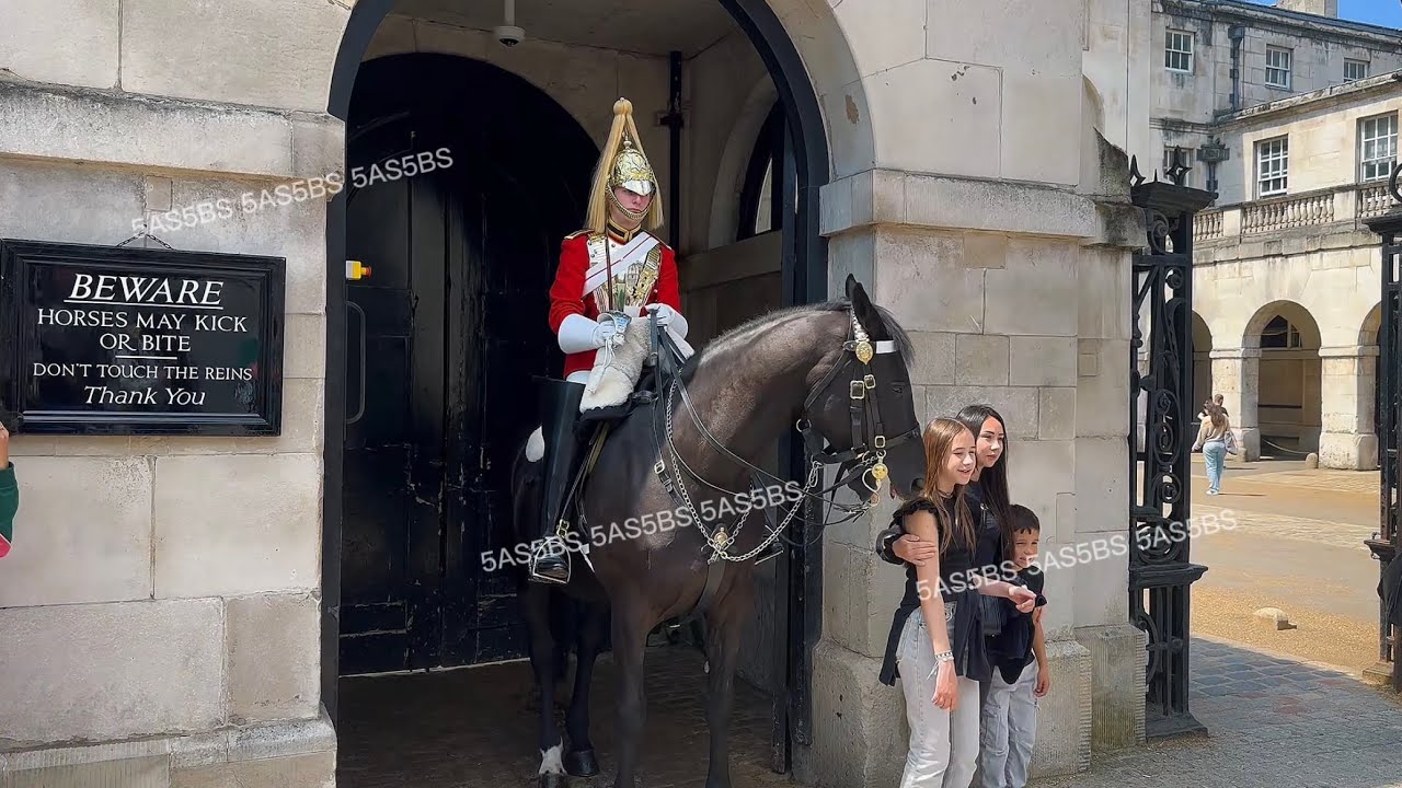 Horse Wants To Be Left Alone! Majestic Equines and the Shrewd Guards