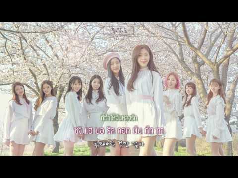 [ซับไทย/HAN] DIA (다이아) - "꽃, 달, 술" (You are my flower)