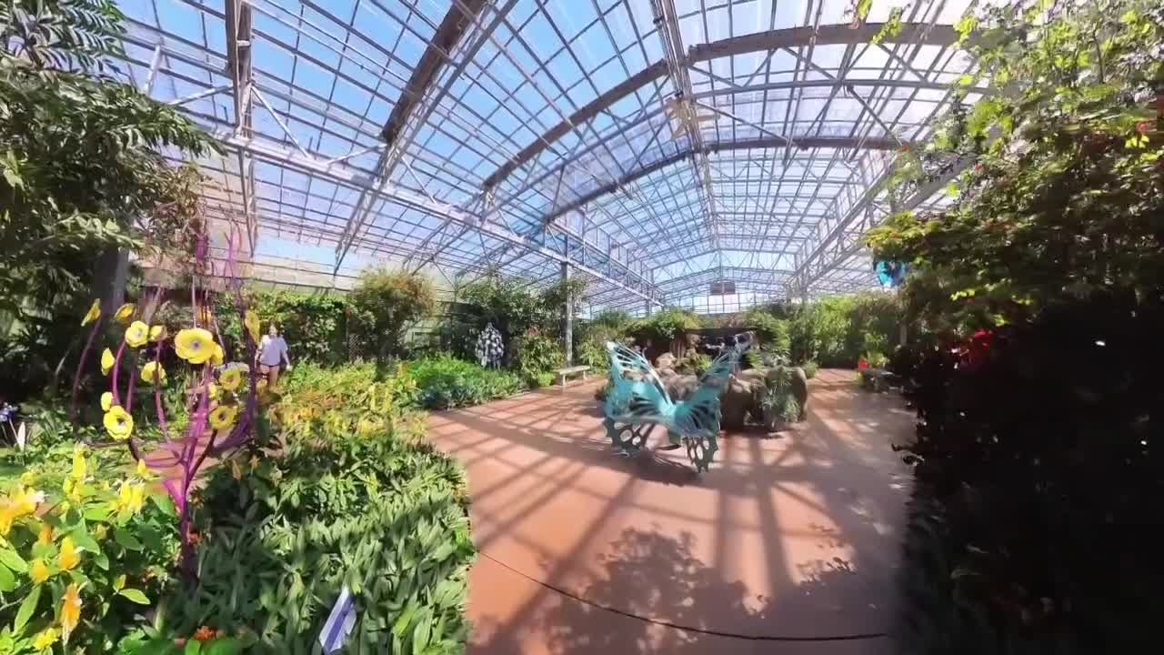 Butterfly Wonderland: Inside America’s largest butterfly conservatory