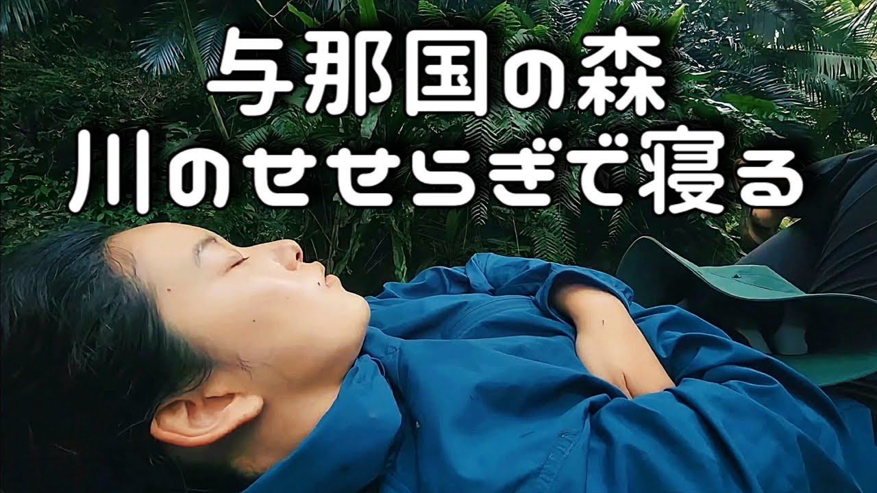 与那国島の森で寝る人