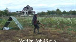 Vyatkins' Bob - 4.5 months old bitework