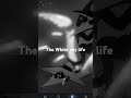 The white spy life (spy x spy)