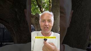 Бизнес-ланч за 16,50€ в Риге — дорого или стоит своих денег? | Annas Dārzs