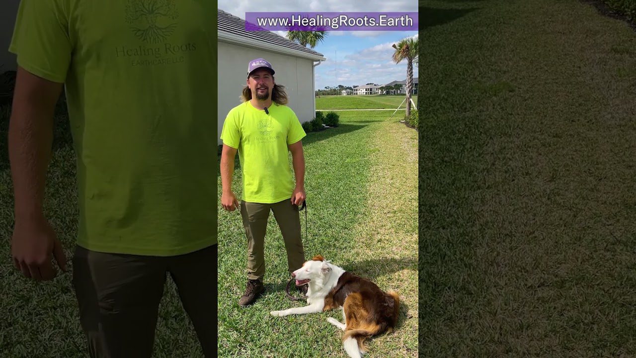 At Healing Roots, we bring life back to the soil