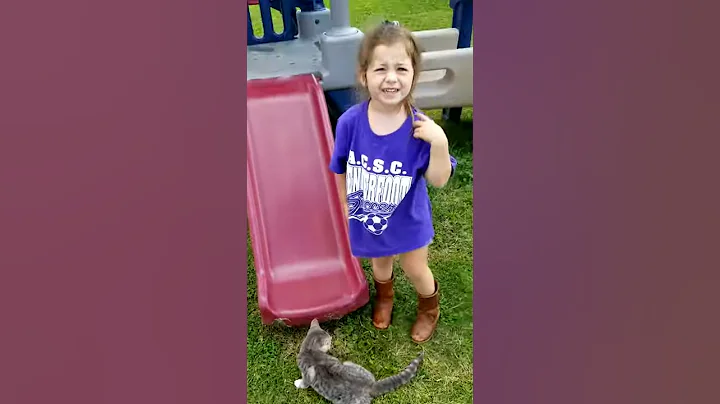 Her kitty loves playing on swingset!!