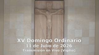 XV Domingo Ordinario