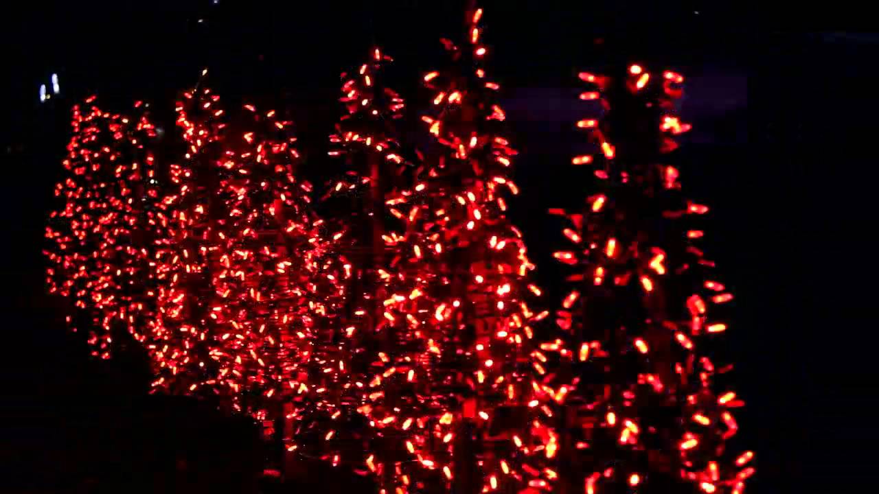 Christmas Lights, Pickering, Ontario Rigby Lights 4 YouTube