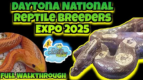 DAYTONA NATIONAL REPTILE BREEDERS EXPO 2025. FULL WALKTHROUGH 