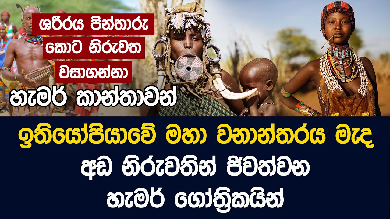 ඉතියෝපියාවේ මහා වනාන්තරය මැද අඩ නිරුවතින් ජිවත්වන හැමර් ගෝත්‍රිකයින් - Ethiopia Hamar Tribe
