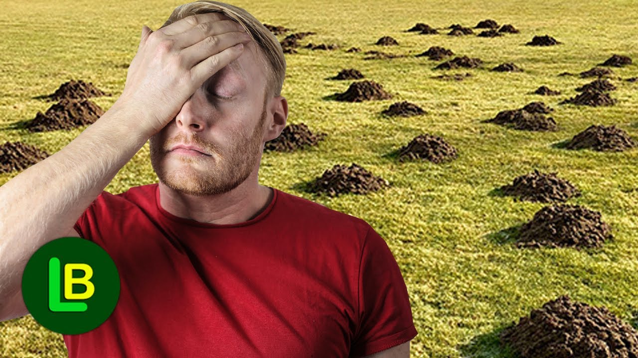 Kako se rešiti krtica u dvorištu