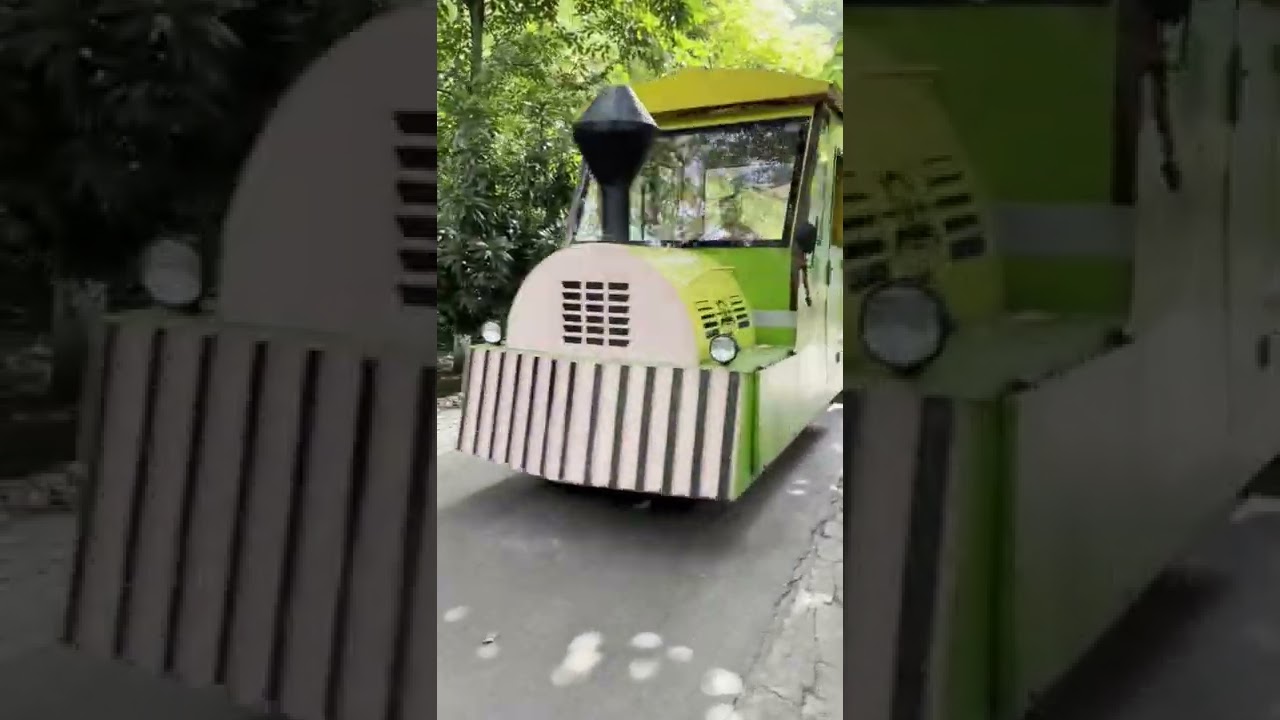 patna zoo toy train &