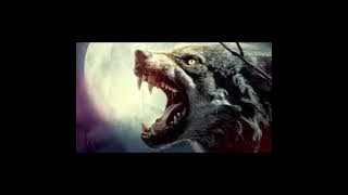 Paradise Phil Collins  mp3 download