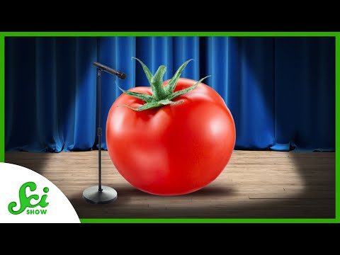 SciShow