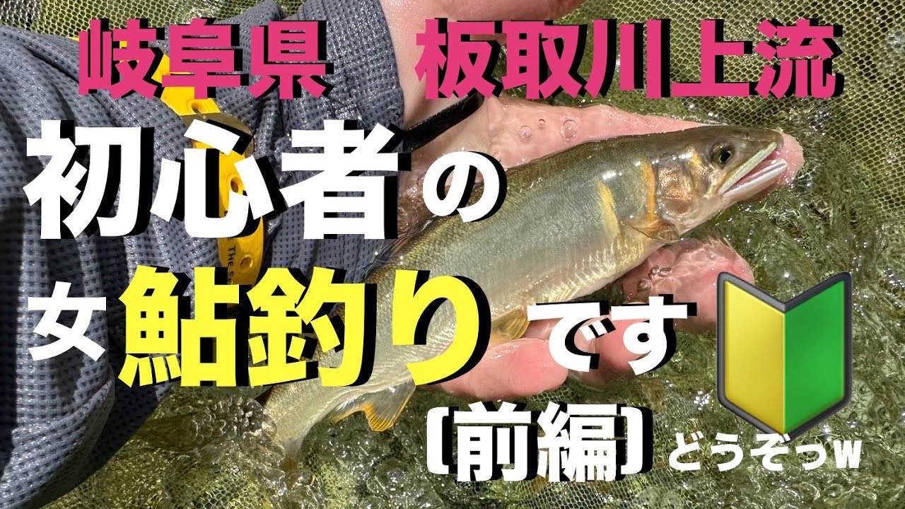 板取川上流　女の鮎釣り（前編）！
