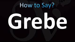 How to Pronounce Grebe (CORRECTLY!)