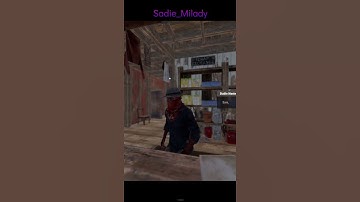 Bought My First Horses!