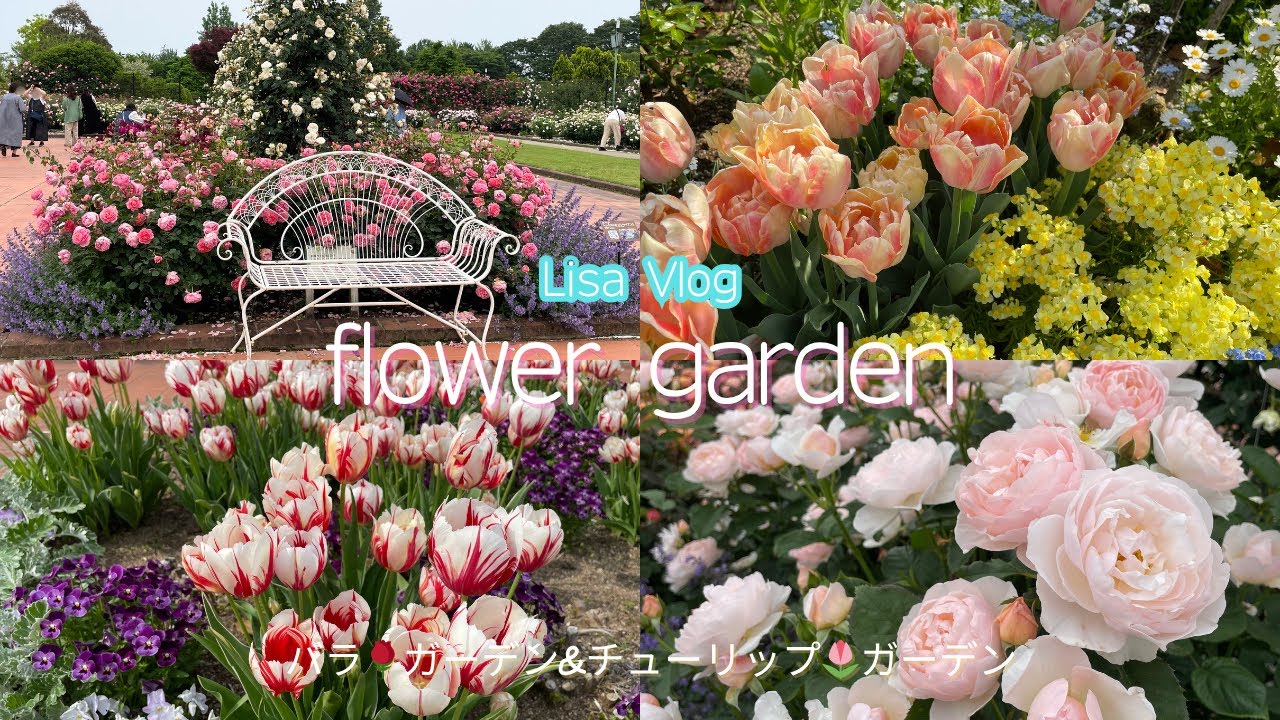 Lisa Vlog 三重県松阪ベルファーム🌹園と🌷チューリップ園　Flower Garden　三重県の寄り道