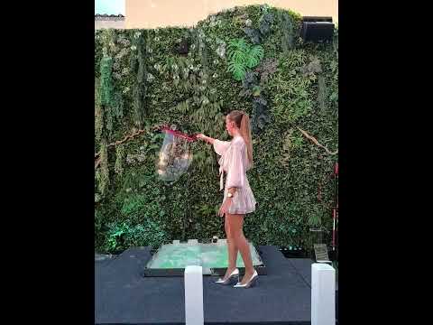 Ejemplo liveMotion OPPO Reno14