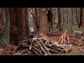 Survival shelter in the larch forest campfire cooking sleeping outdoors