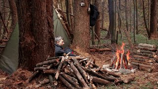 Survival Shelter in the Larch Forest, Campfire Cooking, Sleeping Outdoors.