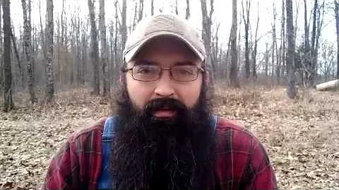 The First Commandment - Bible study