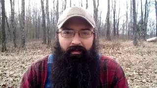 Famous The First Commandment - Bible study Profile