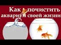 Токсичные отношения и выход из них,  или Как почистить аквариум своей жизни