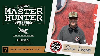 From Puppy To Master Hunter! | Walking Heel On Lead (Part 1) | S1.E7 |