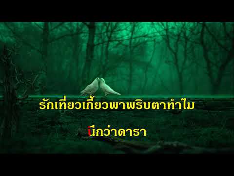 ดาวเจ้าชู้ ชวลีย์ สุนทราภรณ์ คาราโอเกะ รวมเพลง ฟังเพลง ออนไลน์ รัก เพราะ karaoke เพลงเก่า ใหม่