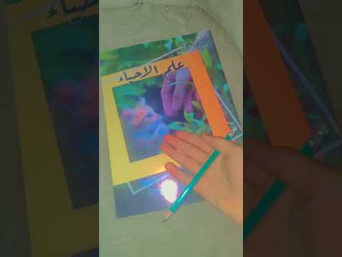 مو فڪرتي بس المهم مح انتم حبيتوا