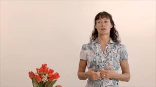 Celebrity Introduction to Collaborative Learning Wealth