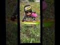 Fire new feature! #subwaysurfers #subway #eatfresh #viral #funny #entertainment