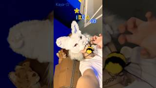 I went to IKEA! #therian #furry #quadrobics #ikea #therianthropy #therians