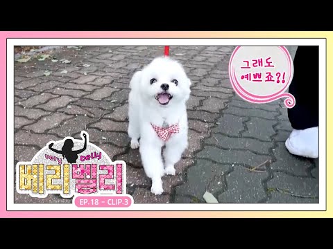 [베리 벨리] EP.18-3 박진영 댄스의 가족과 함께하는 힐링 타임!