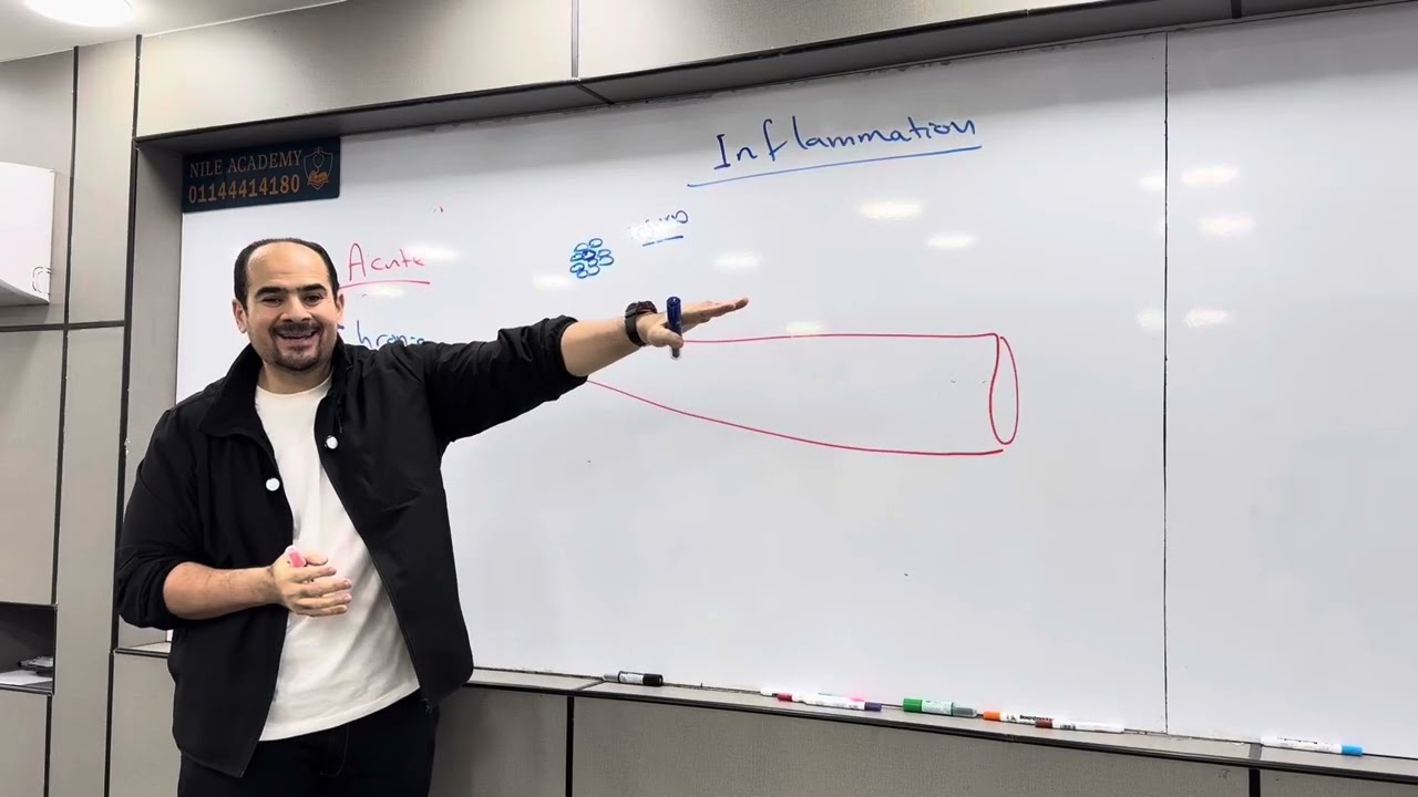 Inflammation 1| Module 208| 198|د.عبدالرحمن خليفه - القصر العيني 