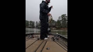 Cold Weather Neko Rig Setup | 6'8" Fenwick Medium Fenwick Elite #fenwickfishing #bassfishing